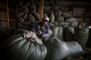 Mongolian cashmere
