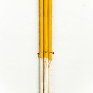 Three companions./Tre compagni.