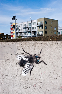 Street Art/Seattle Under Attack
