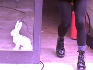 "Follow the White Rabbit!" "Folge dem Weißen Kaninchen!"