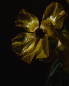Texture and decay II