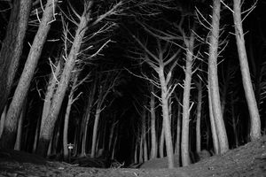 Ralf Moeller | LensCulture