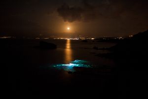 "night vision fishermen"