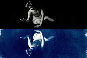 Narcissus