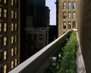 © Brad Temkin