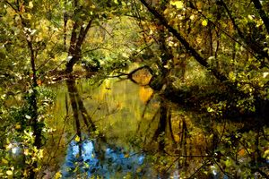 Loyalhanna Creek