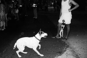 Buenos Aires, 2012