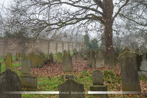 Graves