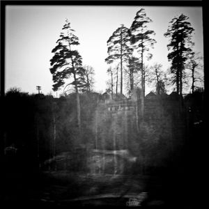 © elena.sh