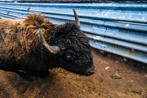 The One That Got Away