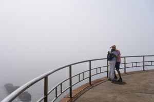Fog 10