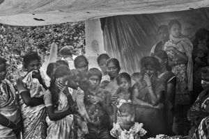 Human & Tiger Conflict