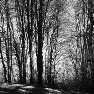 Early Winter Light © Abbey Box