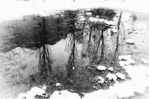 Frozen waterworld