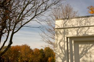 House Tree, Stevenson Historic Site, Mettawa, IL, 2008