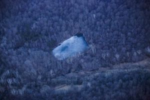 Virginia Aerials [2]