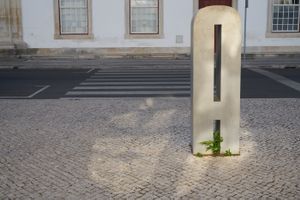 Stella, Coimbra