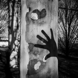 a long shadow