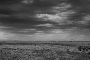 Coming Storm