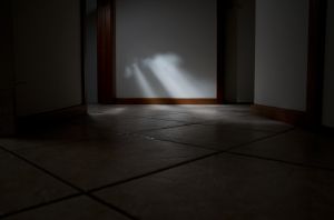 Light on the Plains