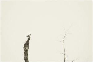 Loneliness