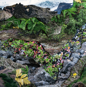 Topography Study XXVIII