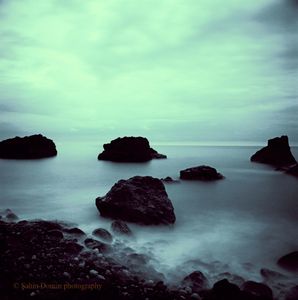 © Sahin Domin