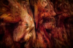 Slaughterhouse elegy VIII.