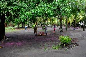 Tortuguero, Costa Rica, 2018