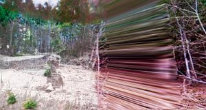 Memoryscapes / Fragments of Reconstruction 7