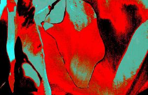 Metamorphosis 72