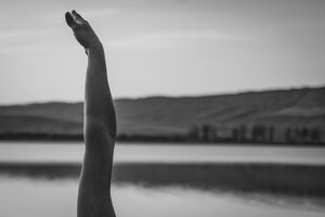 Body