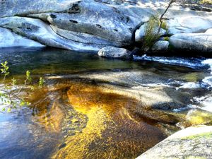 reflejos dorados