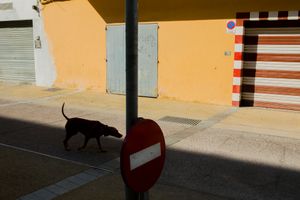 Eivissa