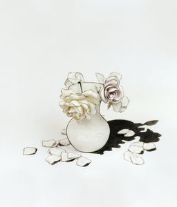 Nature Morte no. 5 (Decaying Flowers), 2009, chromogenic print, 50 x 40 inches and 20 x 24 in.  Edition of 7 © Cynthia Greig
