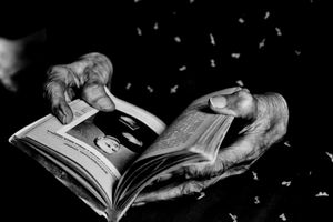 HANDS