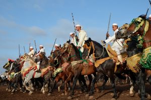 Line of horses and riders move forward in the moments before the start of  a charge. Oued Merzeg, Morocco