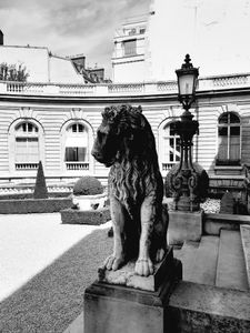 Musée Jacquemart-André 2