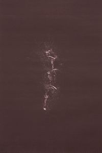 from the series Barren Herbarium #007