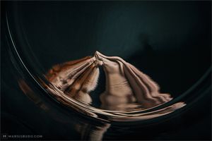 Phantasmagoria 13