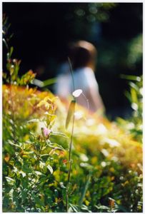On the way from my house to the station / Urayasu, 2012