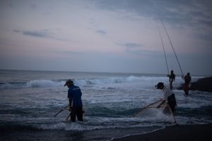 Fishing and baiting
