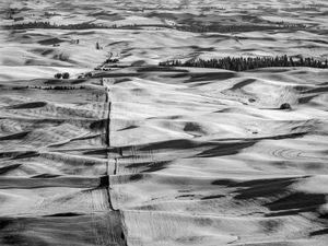 Palouse Patterns 2 2019