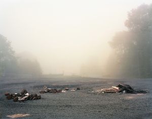 Waste in Fog, 2011