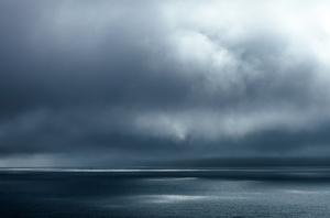 BIRGIT'S GARDEN: THE SEA, 2011