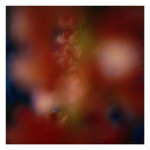 Twilight | The Secret Life of Plants XII