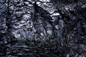 Fragments # 3 - Dragon Skin