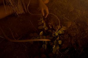 ANTHROPOGENIC 010