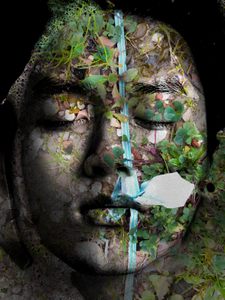 ToHUH 2021 "Everything flows"