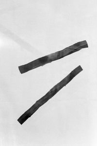 cane Suger